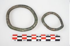 Foto von Bronzering (NHMW-PRAE-026327)